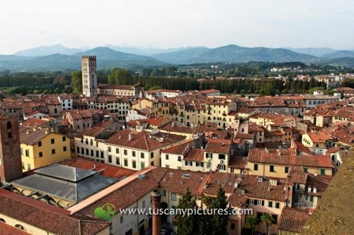 http://www.tuscanypictures.com/